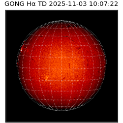 gong - 2025-11-03T10:07:22