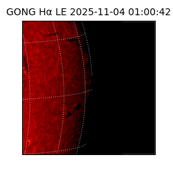 gong - 2025-11-04T01:00:42