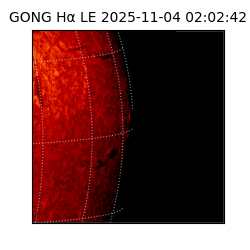 gong - 2025-11-04T02:02:42