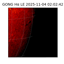 gong - 2025-11-04T02:02:42