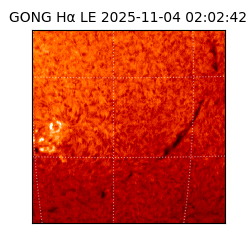 gong - 2025-11-04T02:02:42