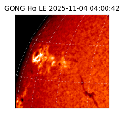 gong - 2025-11-04T04:00:42