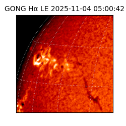 gong - 2025-11-04T05:00:42