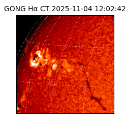 gong - 2025-11-04T12:02:42