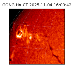 gong - 2025-11-04T16:00:42