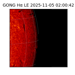gong - 2025-11-05T02:00:42