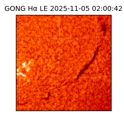 gong - 2025-11-05T02:00:42