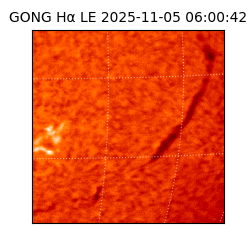 gong - 2025-11-05T06:00:42