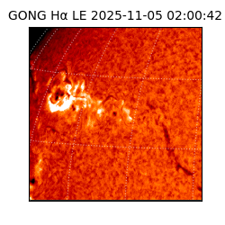 gong - 2025-11-05T02:00:42