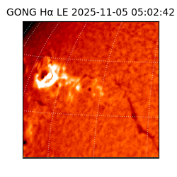 gong - 2025-11-05T05:02:42