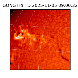 gong - 2025-11-05T09:00:22