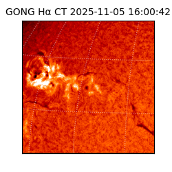 gong - 2025-11-05T16:00:42