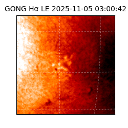 gong - 2025-11-05T03:00:42