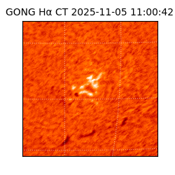 gong - 2025-11-05T11:00:42