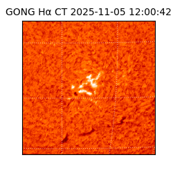 gong - 2025-11-05T12:00:42