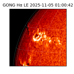 gong - 2025-11-05T01:00:42