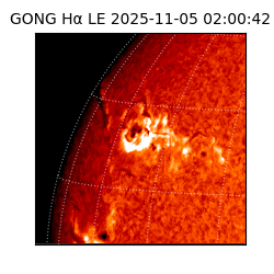 gong - 2025-11-05T02:00:42