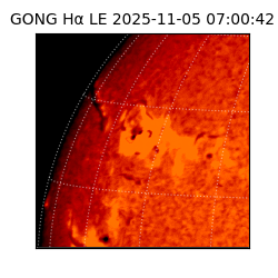 gong - 2025-11-05T07:00:42