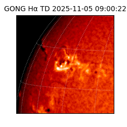 gong - 2025-11-05T09:00:22