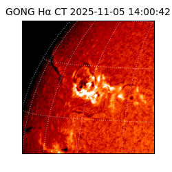 gong - 2025-11-05T14:00:42