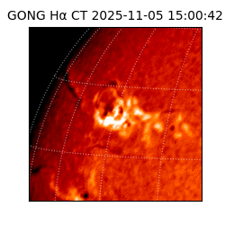 gong - 2025-11-05T15:00:42