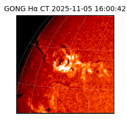 gong - 2025-11-05T16:00:42
