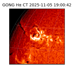 gong - 2025-11-05T19:00:42