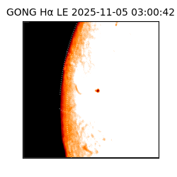 gong - 2025-11-05T03:00:42