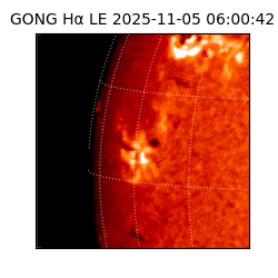 gong - 2025-11-05T06:00:42