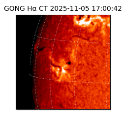 gong - 2025-11-05T17:00:42