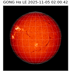 gong - 2025-11-05T02:00:42