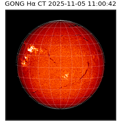 gong - 2025-11-05T11:00:42