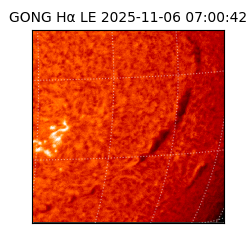 gong - 2025-11-06T07:00:42