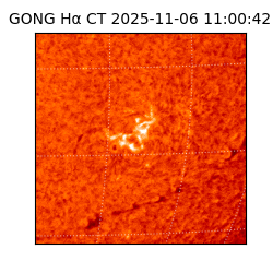 gong - 2025-11-06T11:00:42