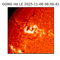 gong - 2025-11-06T06:00:42
