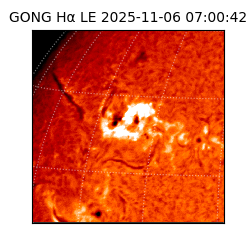 gong - 2025-11-06T07:00:42