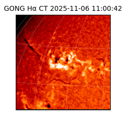 gong - 2025-11-06T11:00:42