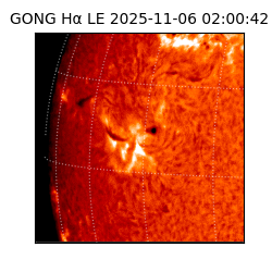 gong - 2025-11-06T02:00:42