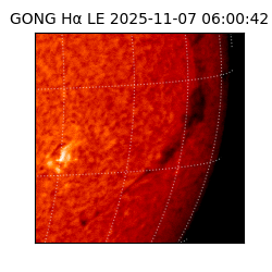 gong - 2025-11-07T06:00:42