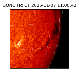 gong - 2025-11-07T11:00:42