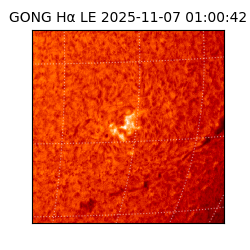 gong - 2025-11-07T01:00:42