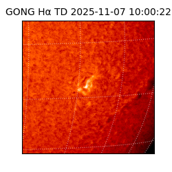 gong - 2025-11-07T10:00:22