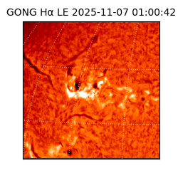 gong - 2025-11-07T01:00:42