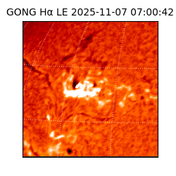 gong - 2025-11-07T07:00:42