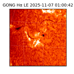 gong - 2025-11-07T01:00:42