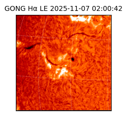 gong - 2025-11-07T02:00:42