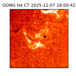 gong - 2025-11-07T16:00:42