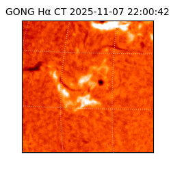 gong - 2025-11-07T22:00:42