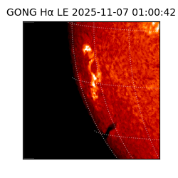gong - 2025-11-07T01:00:42