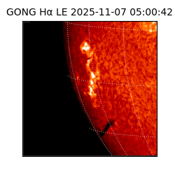 gong - 2025-11-07T05:00:42
